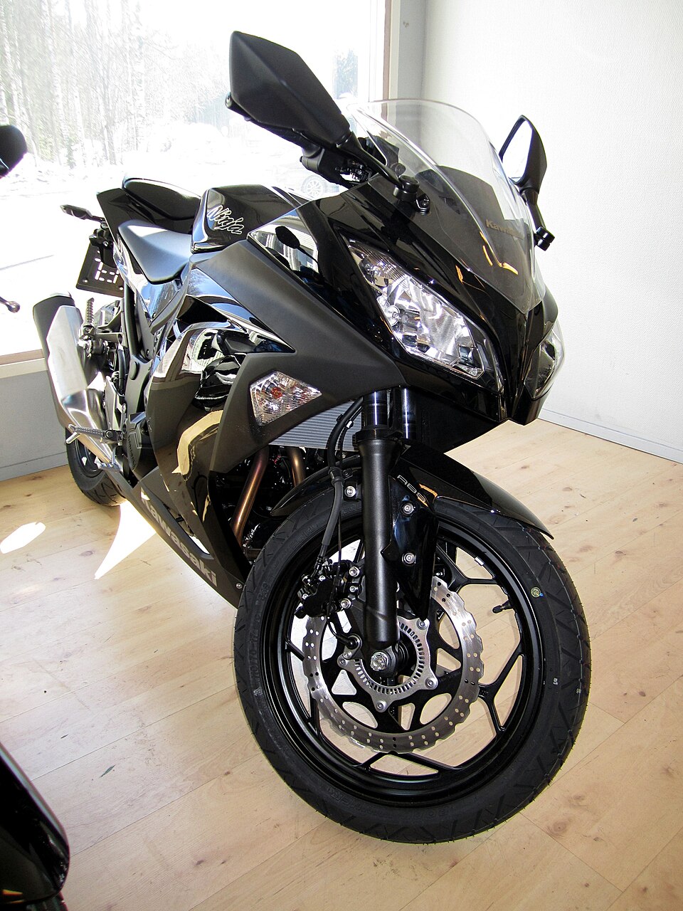 Kawasaki Ninja 300 (EX300A / B)