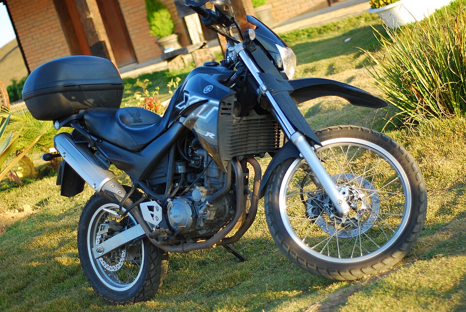 Yamaha XT660R / XT660X (DM01)